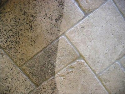 https://www.elitecarpet.net/wp-content/uploads/2016/03/Elite-Carpet-Green-Cleaning-Michigan-Tile-and-Grout-Cleaning-Service-e1458081989897.jpg